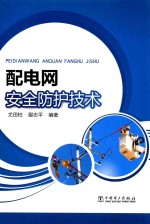配电网安全防护<em>技术</em>