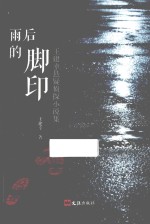 雨后的脚印  王建<em>幸</em>悬疑侦探小说集