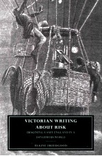 VICTORIAN WRITING <em>ABOUT</em> RISK Imagining a Safe England in a Dangerous World