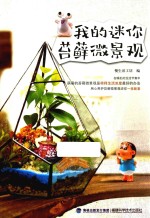 <em>我的</em>迷你苔藓微景观