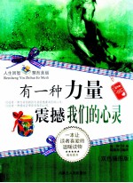 有一种力量震撼我们的心灵  精华版  双色插图版