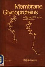 MEMBRANE GLYCOPROTE<em>IN</em>S  A REVIEW <em>OF</em> <em>STRUCTURE</em> AND <em>FUNCTION</em>
