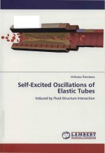 Self-excited oscillations of elastic tubes induced <em>by</em> fluid-structure interaction
