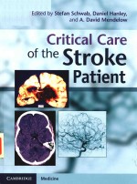 Critical Care of <em>the</em> <em>S</em>troke Patient