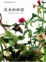 蒲公英自然绘本系列  昆虫的秘密