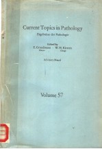 CURRENT TOPICS IN PAT<em>H</em>OLOGY  ERGEBNISSE DER PAT<em>H</em>OLOGIE  BOLUME 57
