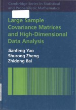 Large sample covariance <em>ma</em>trices and high-dimensional data analysis