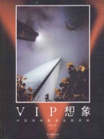 VIP想象  中国高端服务业新思维