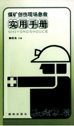 煤矿创伤现场<em>急救</em>实用<em>手册</em>
