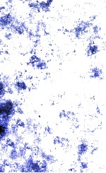 chemical <em>induction</em> <em>of</em> cancer