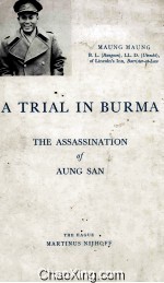 A Trial <em>In</em> Burma