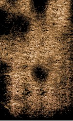 <em>船山</em><em>遗书</em>  70  读通鉴论  <em>卷</em>25-26