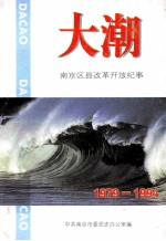 大潮  南京区县改革开放纪事1979年-1994
