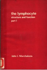 <em>THE</em> LYMPHOCYTE <em>S</em>TRUCTURE AND FUNCTION PART Ⅰ