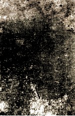 LITERARY HISTORY <em>OF</em> THE UNITED STATES