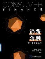 消费金融  下一个金融风口