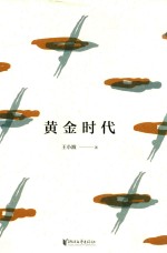 王<em>小波</em>精装文集  黄金时代