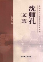 多相催化与表面化学研究回顾  沈师<em>孔</em>文集