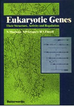 EUKARYOTIC GENES THEIR <em>STRUCTURE</em>