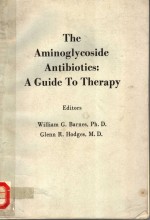 <em>THE</em> <em>A</em>MINOGLYCOSIDE <em>A</em>NTIBIOTICS：<em>A</em> <em>GUIDE</em> <em>TO</em> <em>THE</em>R<em>A</em>PY