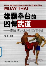 雄霸拳台的凶悍武道  泰国博击术
