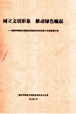 <em>树立</em>文明形象  推动绿色崛起  梅州市精神文明建设先进单位和先进工作者事迹汇编