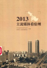 主流媒体看宿州  2013