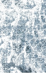 Perspectives <em>in</em> Virology <em>Volume</em> 10