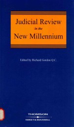 <em>Judicial</em> Review <em>in</em> the New Millennium