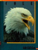 <em>THE</em> AMERICAN <em>SYSTEM</em> <em>OF</em> CRIMINAL JUSTICE