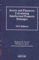 ASSE<em>T</em>S AND <em>F</em>INANCES:CALCULA<em>T</em>ING IN<em>T</em>ELLEC<em>T</em>UAL PROPER<em>T</em>Y DAMAGES 2013 EDI<em>T</em>ION