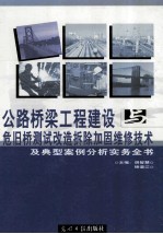 公路桥梁工程建设之危旧桥测试改造拆除加固维修技术及典型案例分析实务全书  中
