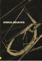 <em>AN</em>IMAL BEHAVIOR