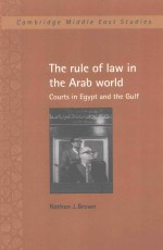 The rule of <em>l<em>a</em>w</em> <em>in</em> the <em>A</em>r<em>a</em>b world