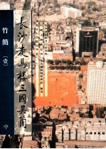 长沙走马楼三国吴简  竹简  1  中