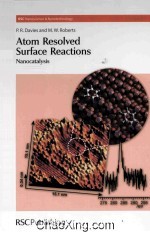 <em>Atom</em> Resolved Surface Reactions Nanocatalysis