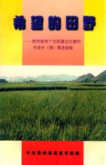 希望的田野  贵州省两个文明建设红旗村先进乡（镇）事迹选编
