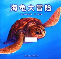 神奇的迁徙之旅  海龟大冒险