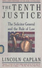 <em>THE</em> TENTH JU<em>S</em>TICE <em>THE</em> <em>S</em>OLICITOR GENERAL AND <em>THE</em> RULE OF LAW