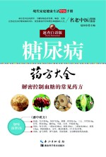 现代家庭<em>健康</em>生活中医<em>手册</em>  糖尿病药方大全