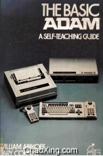 <em>The</em> Ba<em>s</em>ic ADAM