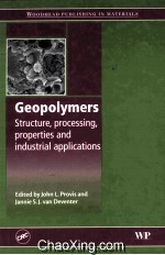 Geopolymers <em>Structure</em>