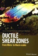 Ductile shear zones: from micro- to <em>macro</em>-scales