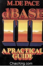 dB<em>a</em>se III <em>A</em> Pr<em>a</em>ctic<em>a</em>l Guide