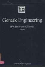 SYMPOSIA OF THE GIOVANNI LORENZINI FOUNDATION  VOLUME 2 GENETIC <em>ENGINEERING</em>