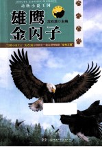 天空地带  雄鹰金闪子