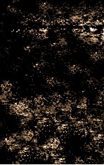 THE NATURE AND <em>PROPERT<em>I</em>ES</em> <em>OF</em> SO<em>I</em>LS