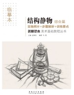 名师范本  结构静物  综合篇