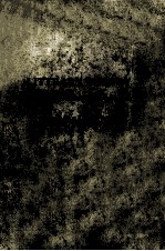<em>L</em>ITERARY THEORY An Introduction