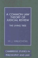 A COMMON LAW THEPRY <em>OF</em> <em>JUDICIAL</em> REVIEW